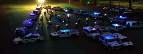 immagine newsletter +community