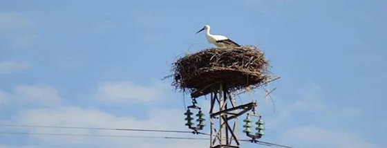 immagine newsletter +community