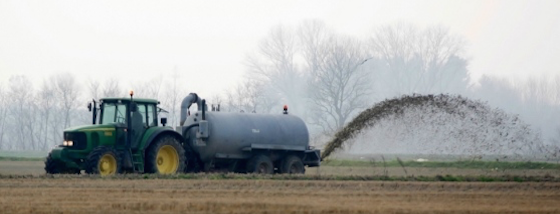 immagine newsletter +community